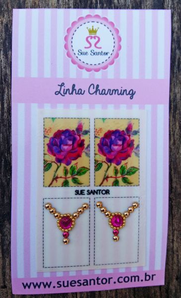 CHARMING580